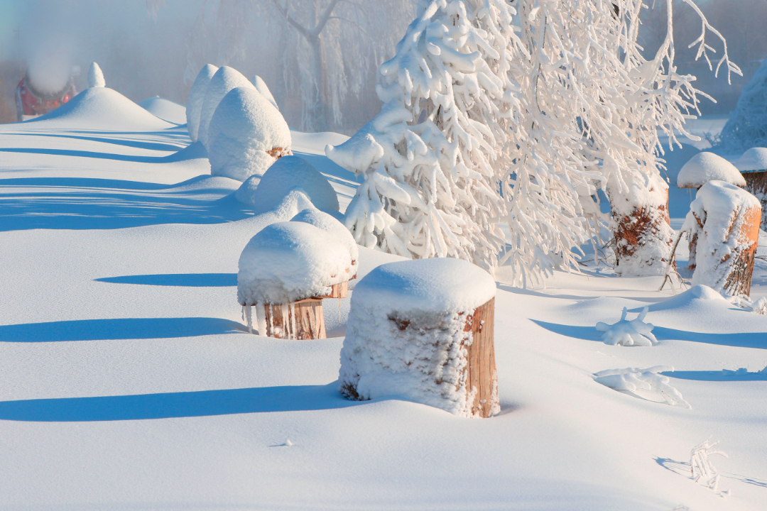 镇西冰雪乐园图片