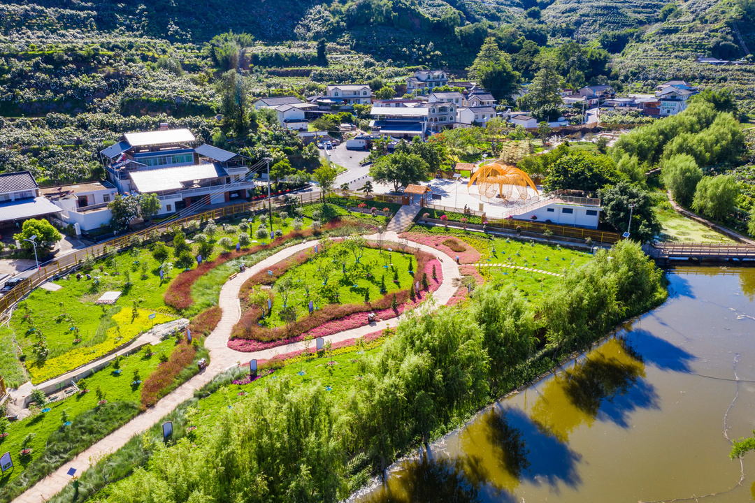 做強產業美環境攀枝花農業農村展新顏