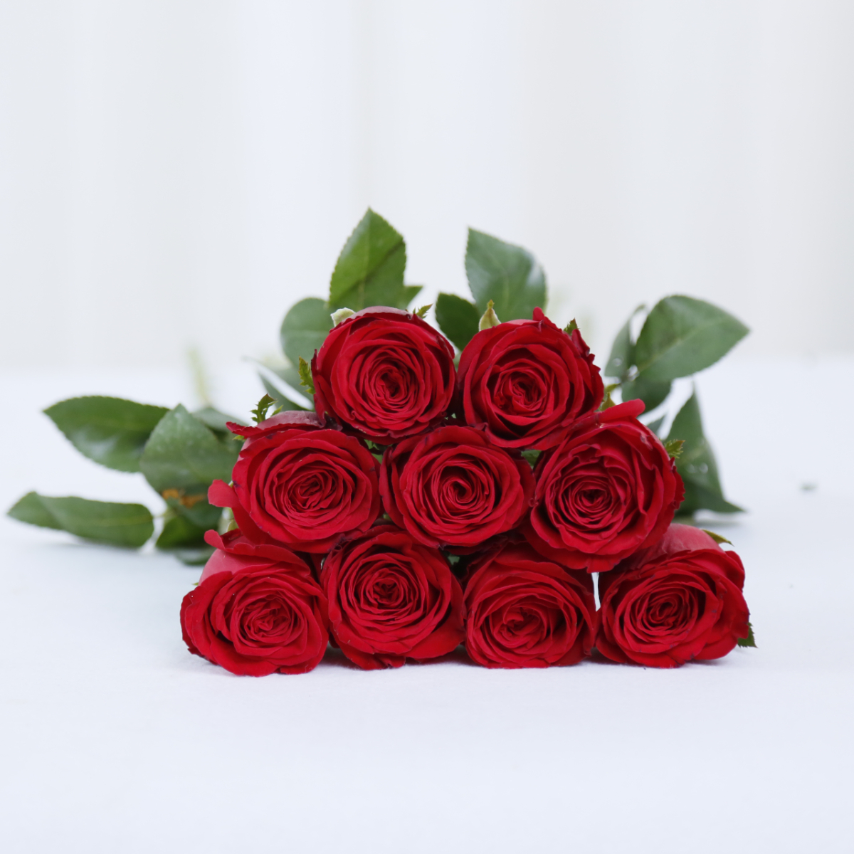 _G7A7180.JPG