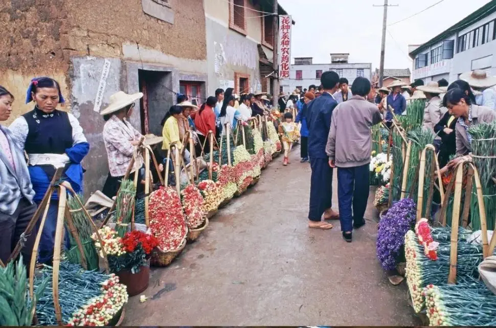 1994年,斗南村花街png