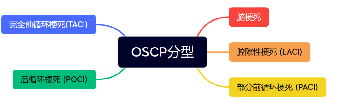 OSCP分型.png