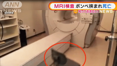MRI検査　強力な磁力発生・・・機器とボンベ挟まれ死亡(2021年10月20日)[00-00-07--00-00-22].gif