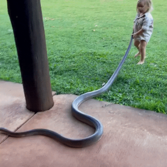 10000000_379943990501662_2972409618693695838_n[00-00-00 - 00-00-08].gif