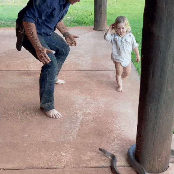 10000000_379943990501662_2972409618693695838_n[00-00-28 - 00-00-35].gif