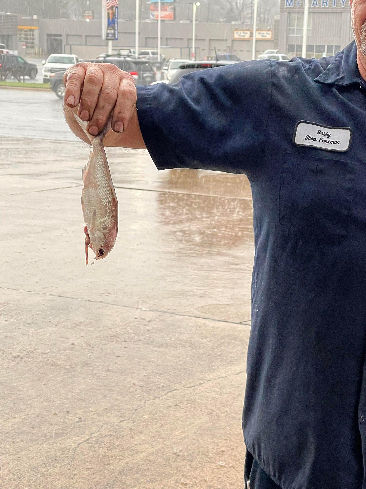 attachment-Raining-Fish-in-Texarkana-Bobby-Whisenhunt-at-Discount-Wheel-and-Tire.jpg