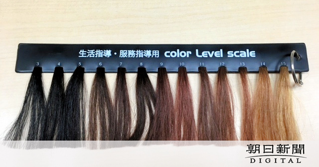 都立高校の頭髪指導で使われたという髪の色の明るさを測る「レベルスケール」.jpg