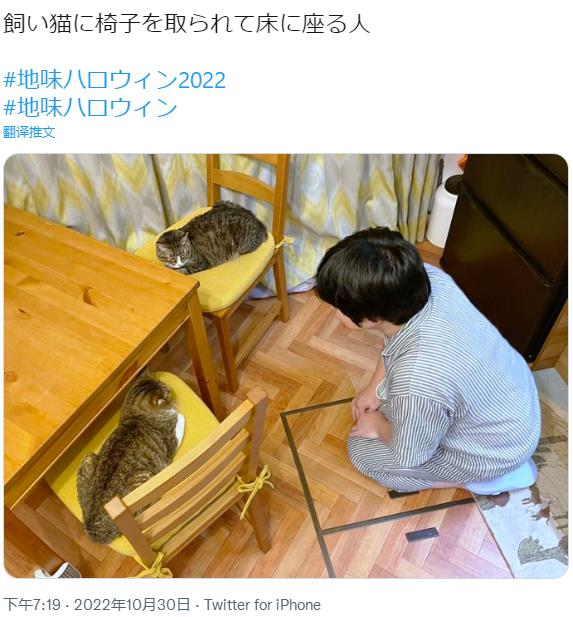 微信截图_20221030192811.jpg
