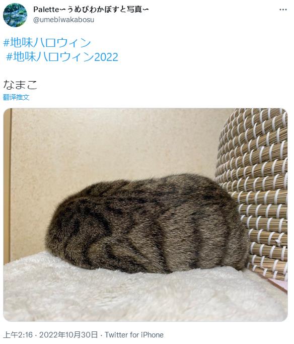 微信截图_20221030181831.jpg
