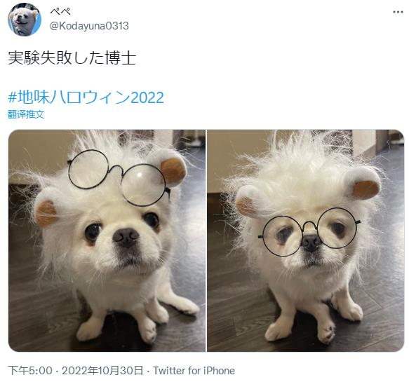 微信截图_20221030172804.jpg