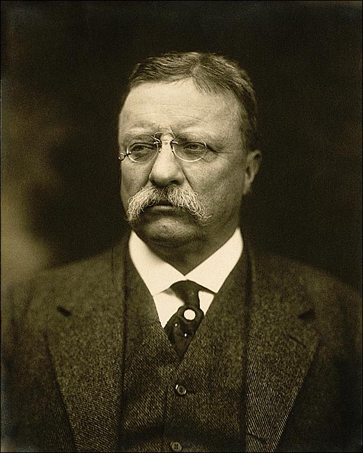 president-theodore-roosevelt-portrait-photo-print-29.jpg