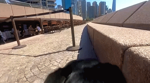 2.gif