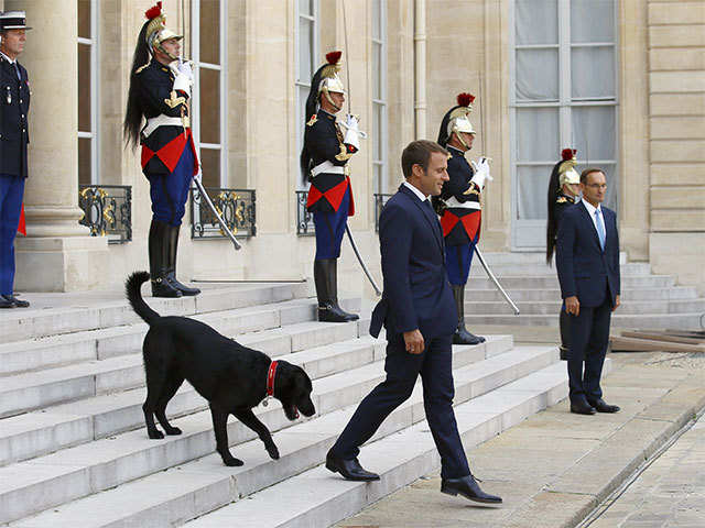 emmanuel-macron-and-nemo.jpg