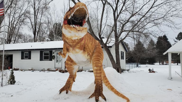 larcom-t-rex-snow-becker-feb-2022-construction-4.jpg