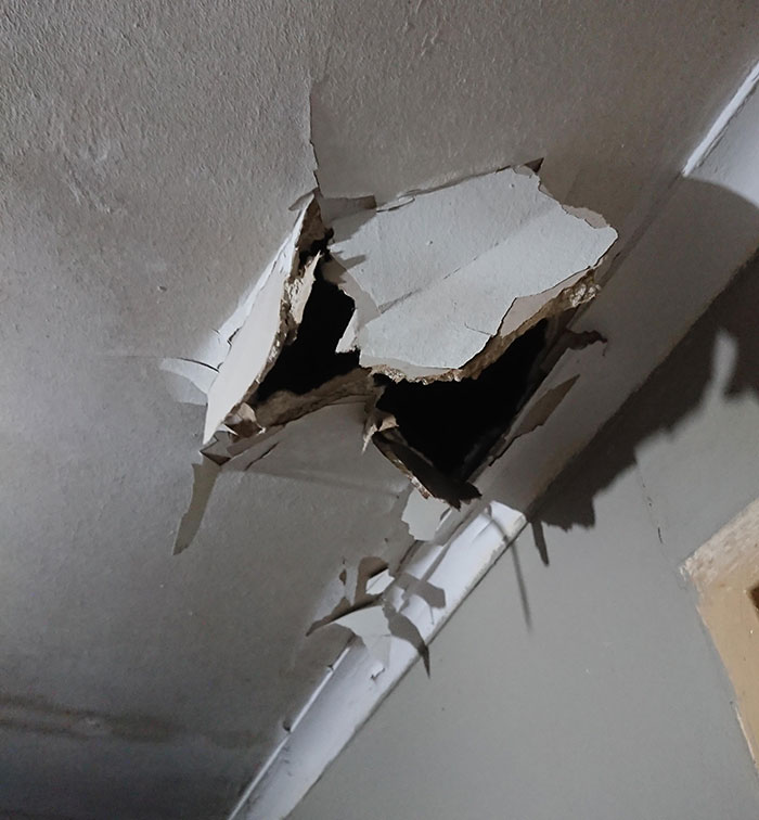 noisy-neighbours-complaint-guy-falls-through-ceiling-624d94a272bd9__700.jpg