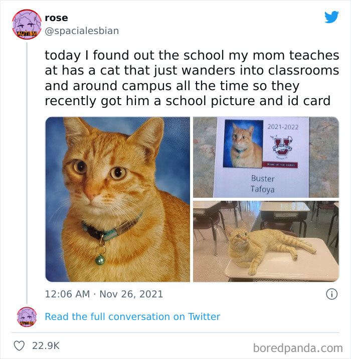 wholesome-meet-the-internet-4-625fd1d59744c__700.jpg