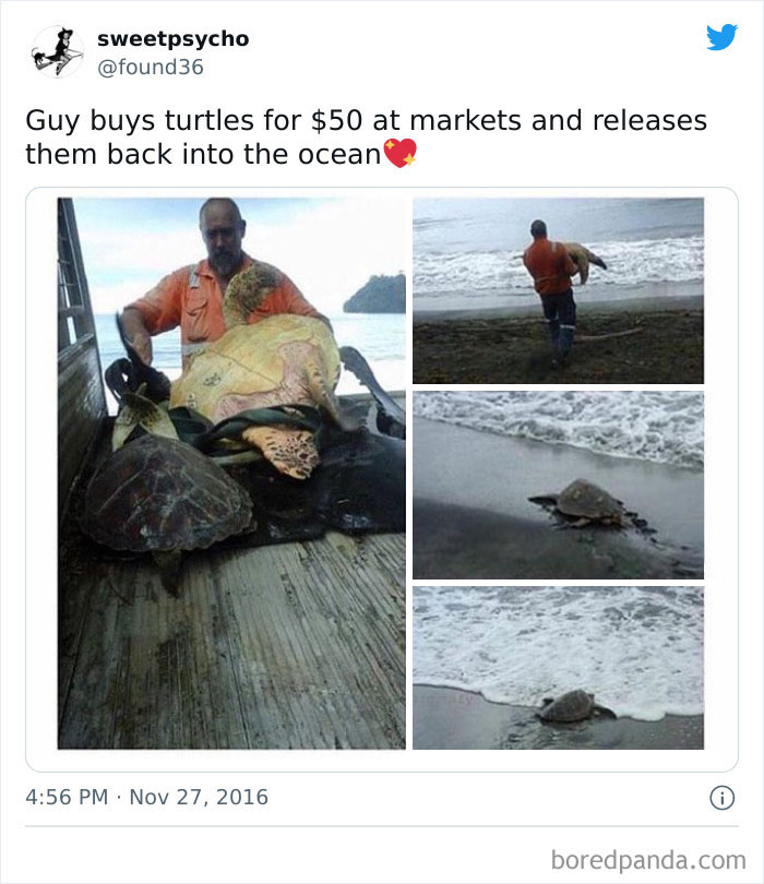 wholesome-meet-the-internet-17-625fd7a0d80b9__700.jpg