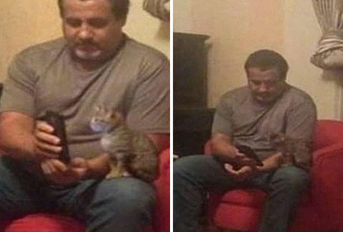 wholesome-meet-the-internet-24-625fda1123d71__700.jpg