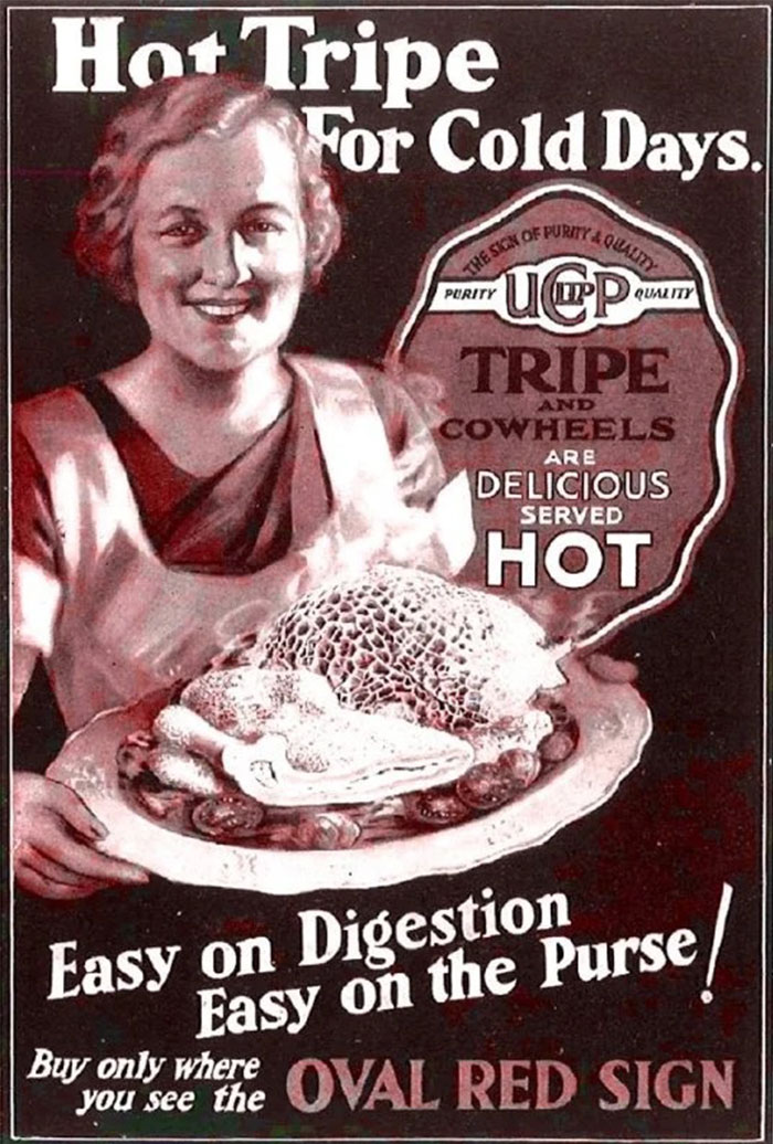 internet-group-sharing-disgusting-vintage-food1-62f9e8c5bef6d__700.jpg