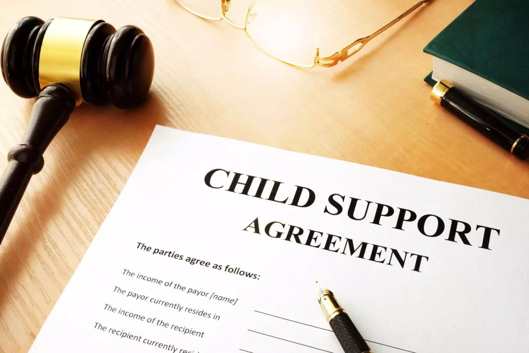 South-Carolina-Child-Support-Law.jpg