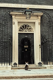 Larry_the_cat_waiting_to_be_let_into_10_Downing_St.jpg