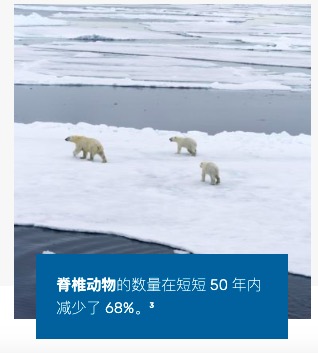 截屏2022-04-18 下午7.01.00.jpg