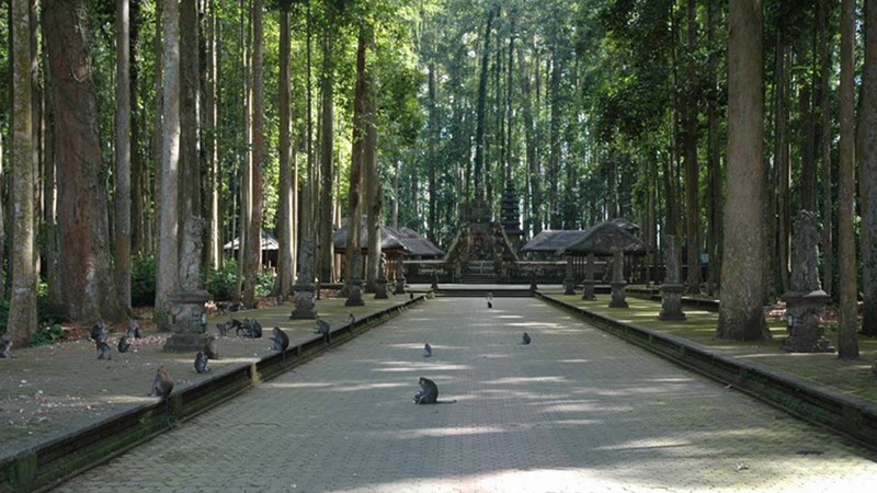 sangeh-monkey-forest-bali2.jpg