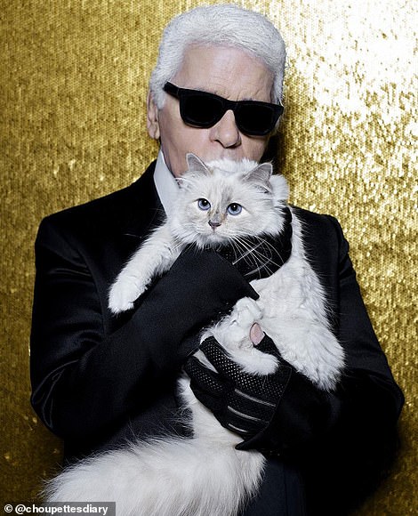 51462353-10284833-A_statue_of_Lagerfeld_s_beloved_pet_cat_Choupette_created_by_art-a-224_1638909775581.jpg