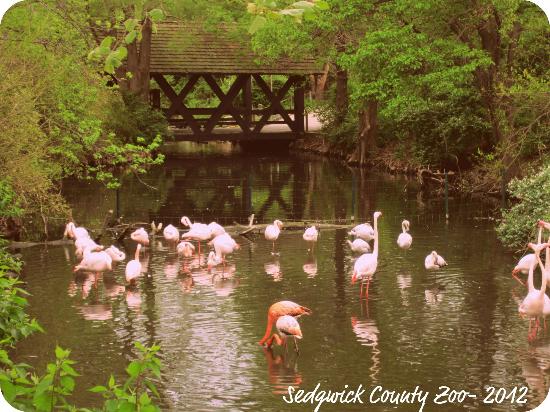 sedgwick-county-zoo.jpg