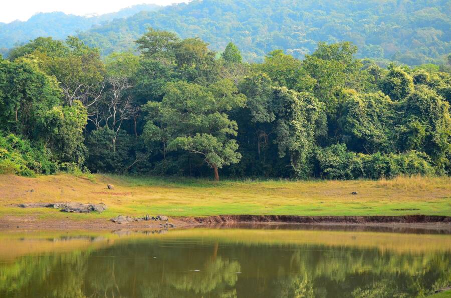 dalma-wildlife-sanctuary.jpeg