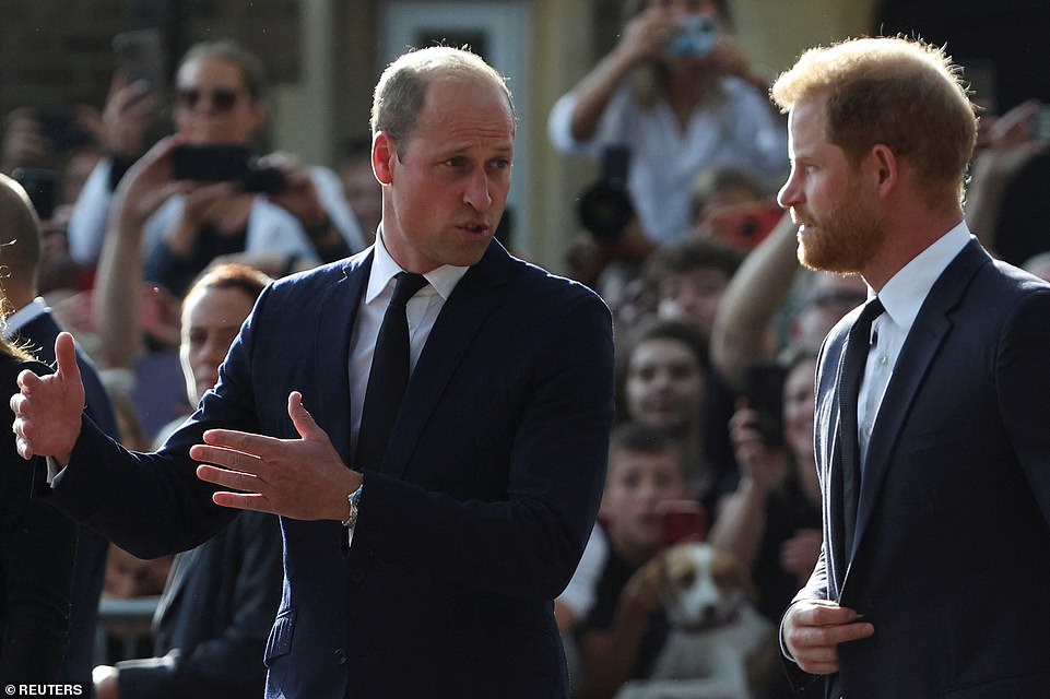 62281535-11200001-William_and_Harry_are_seen_conversing_as_they_reunite_to_mourn_t-a-62_1662835819067.jpg