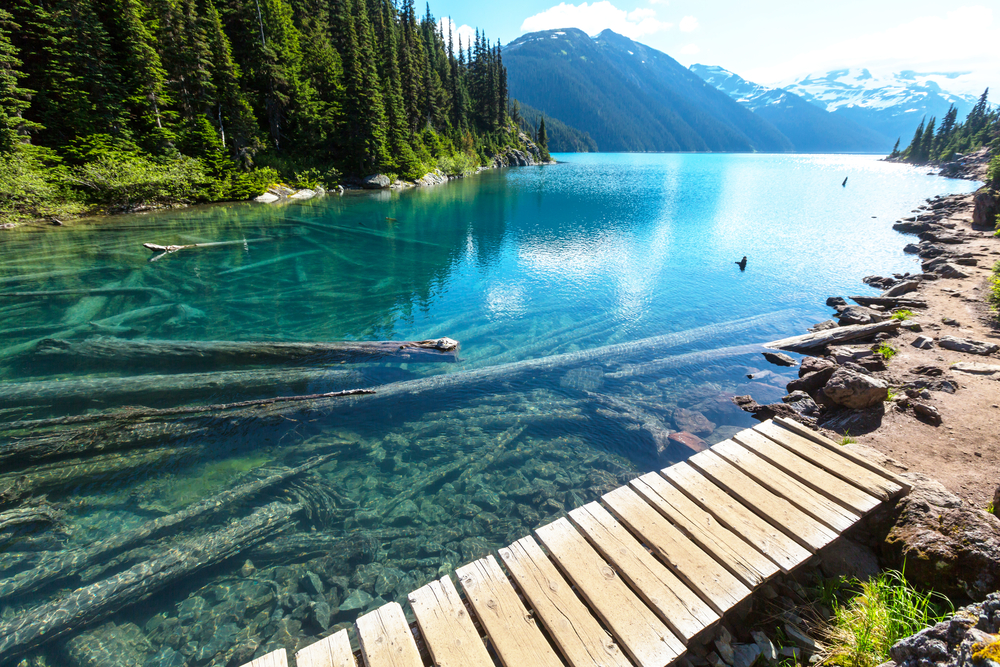 shutterstock_491023813.jpg