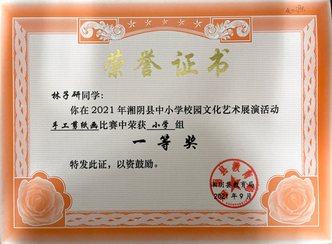 千帆竞发勇者胜  百舸争流奋楫先——我校在市、县艺体竞赛中斩获佳绩