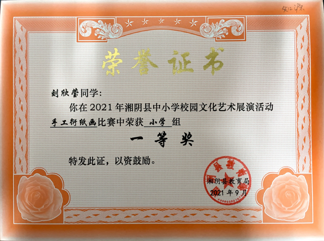 千帆竞发勇者胜  百舸争流奋楫先——我校在市、县艺体竞赛中斩获佳绩