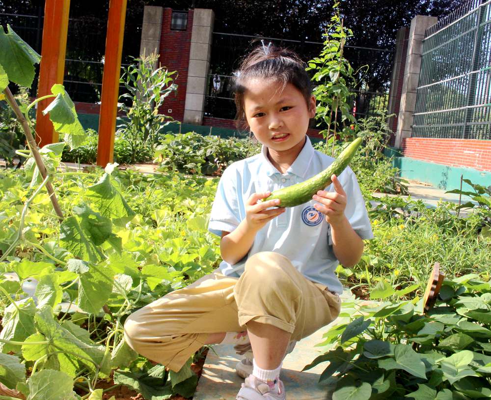 农场喜丰收，美食暖人心——知源学校第一届最美劳动者厨艺比赛欢乐上演