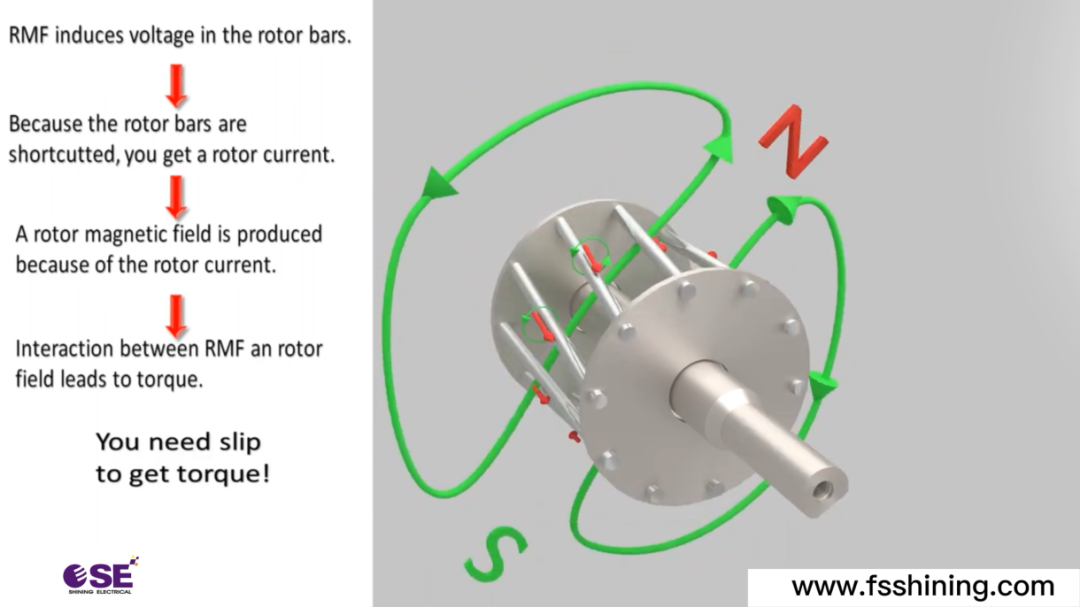 single-phase induction motor