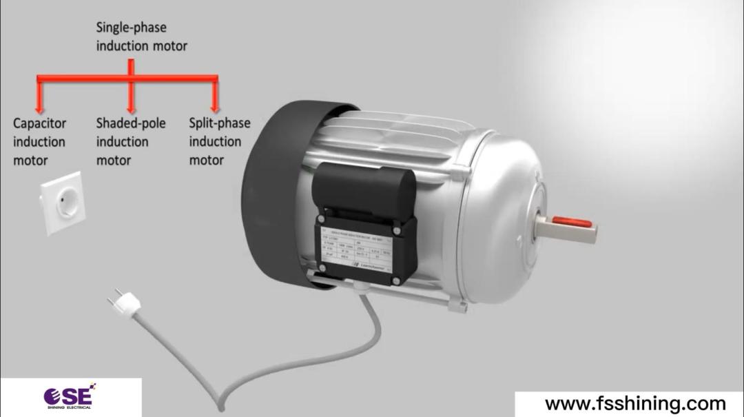 single-phase induction motor