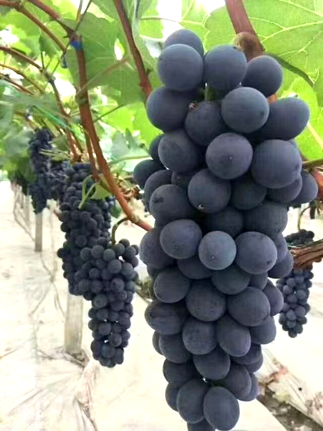 微信图片_20220711145615.jpg