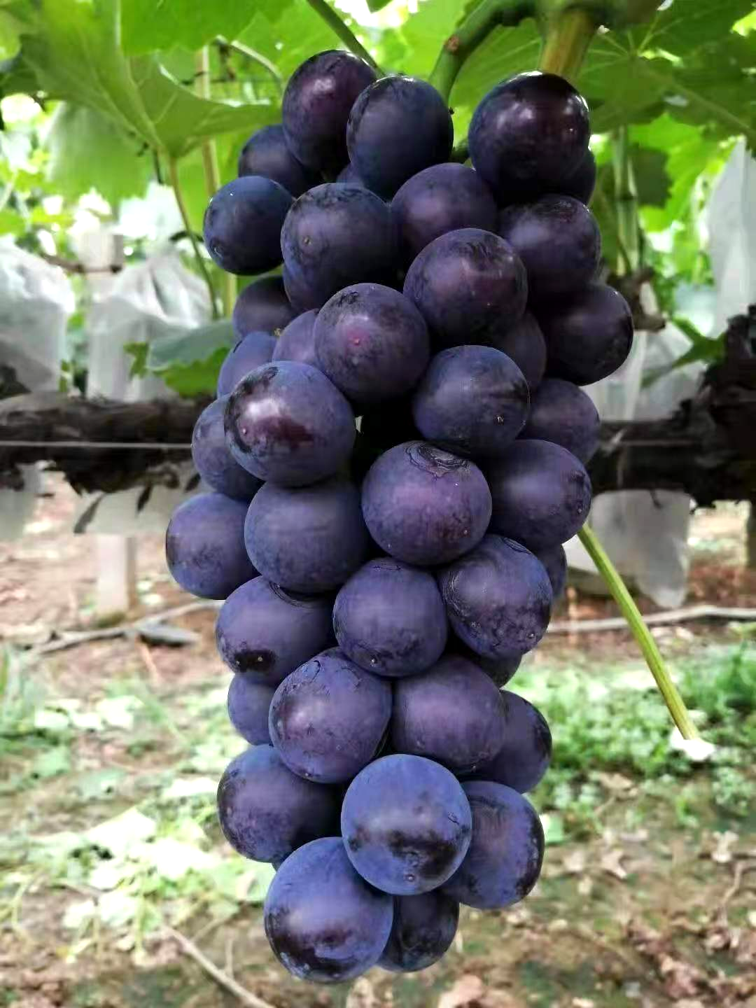 微信图片_20220711145623.jpg