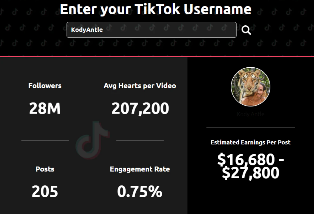 我是一個專注於tiktok玩法的跨境電商自媒體人, v