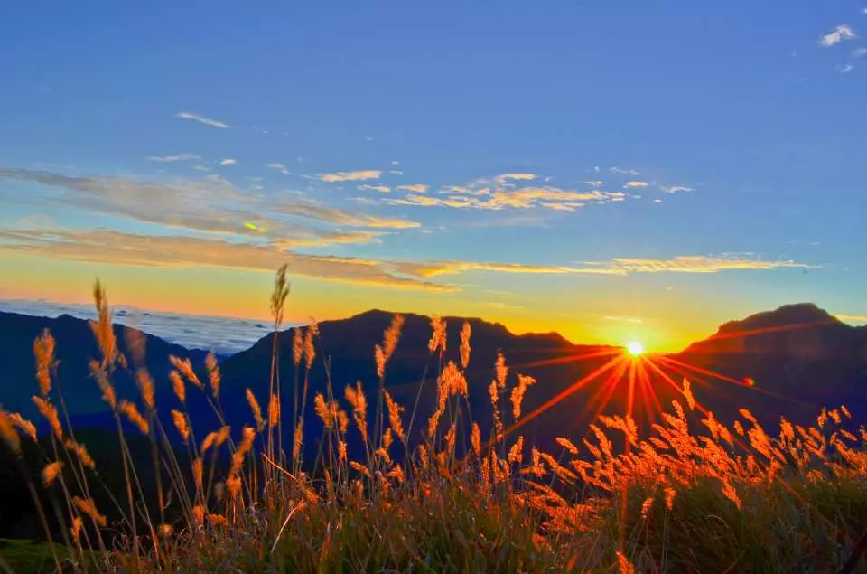 Hehuan Mountain Sunrise or Half-Day Tour from Cingjing Farm - KKday