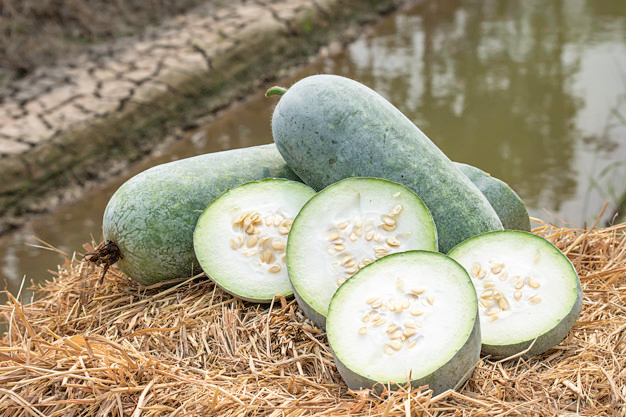 冬瓜】去熱、利水、夏天瘦身必吃聖品！冬瓜為什麼叫冬瓜？ - 愛料理生活誌