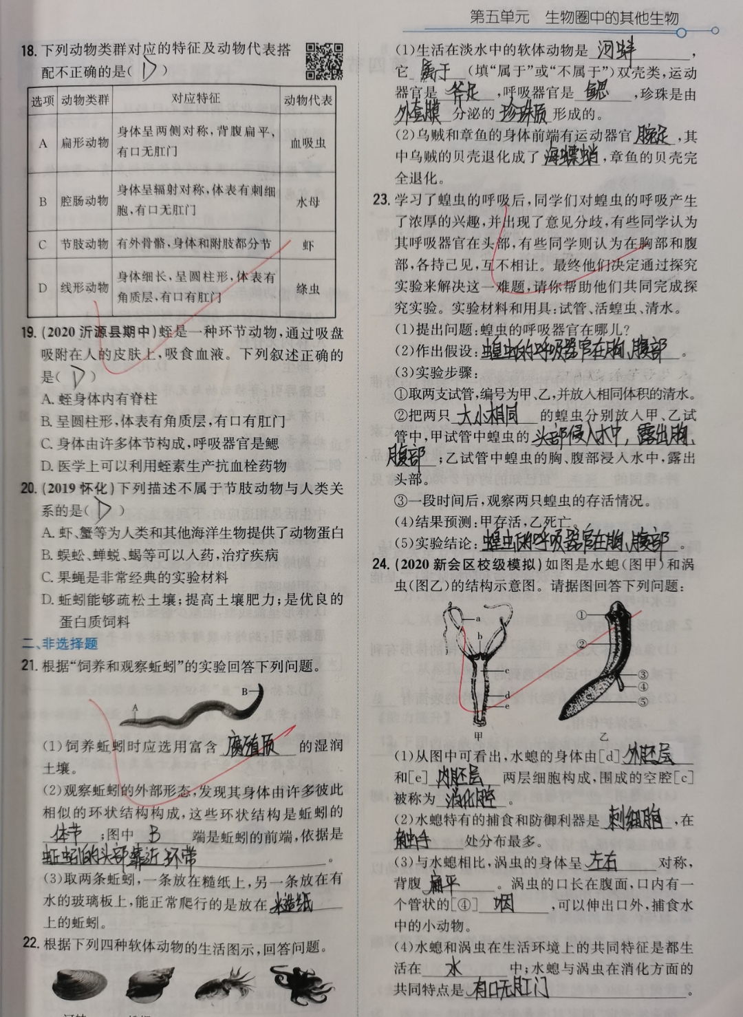 305 莫依辰 .jpg