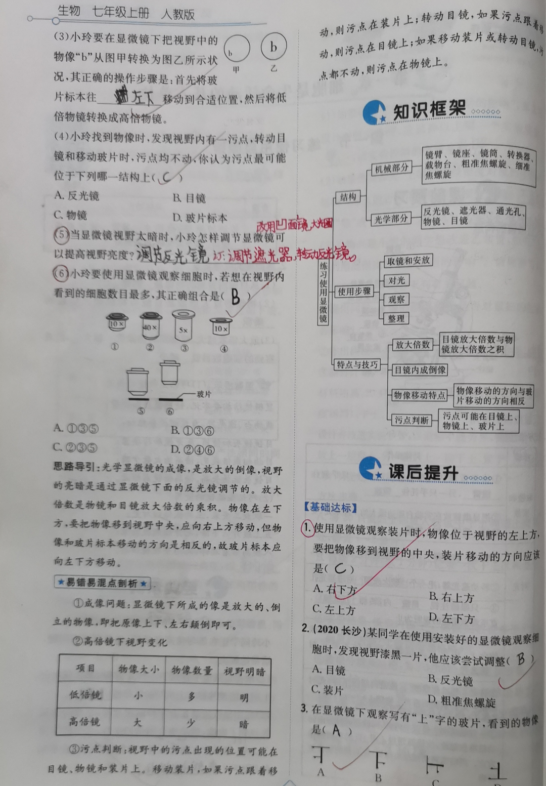 316 莫橙.jpg
