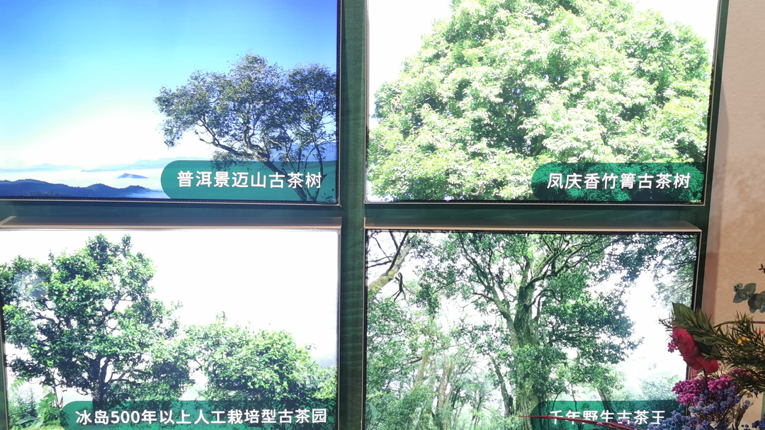 微信图片_20211014083524.jpg