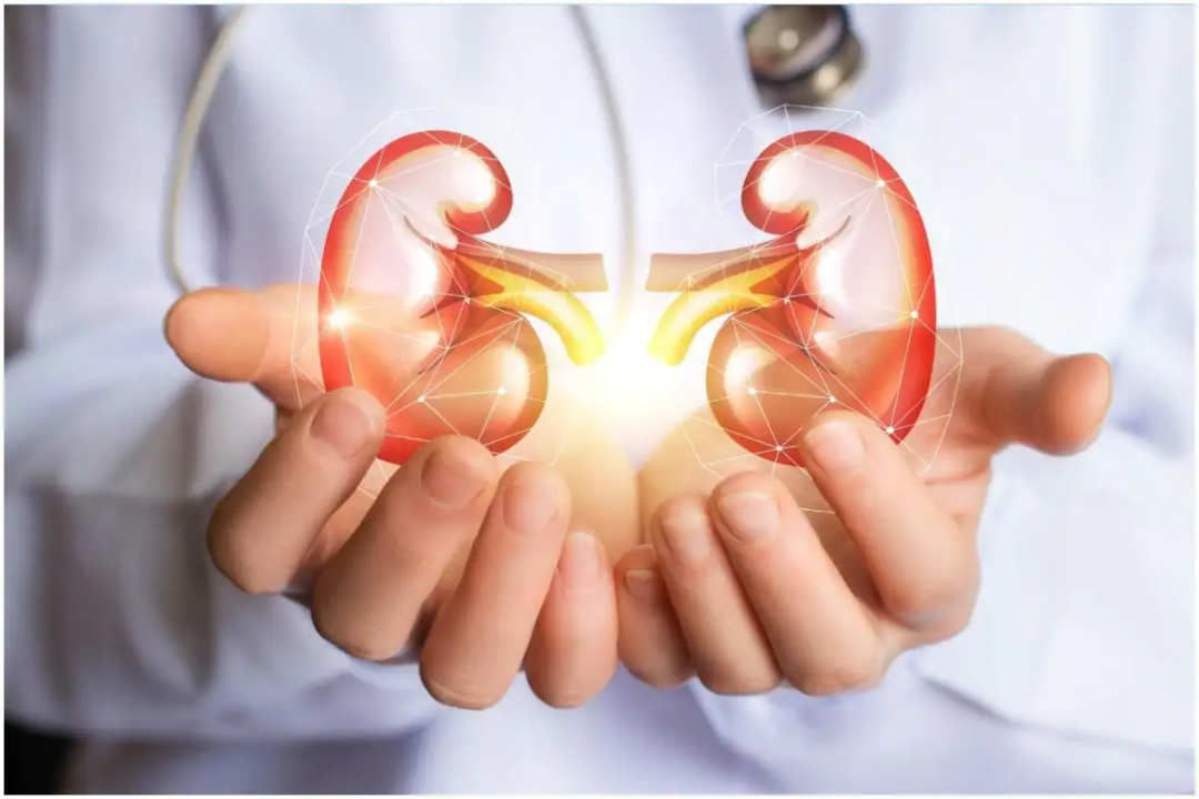 World Kidney Day 2022| 8 Healthy Habits to Keep Your Kidneys Healthy